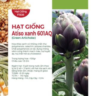 Hạt Giống Atiso Đà Lạt Tím 601AQ